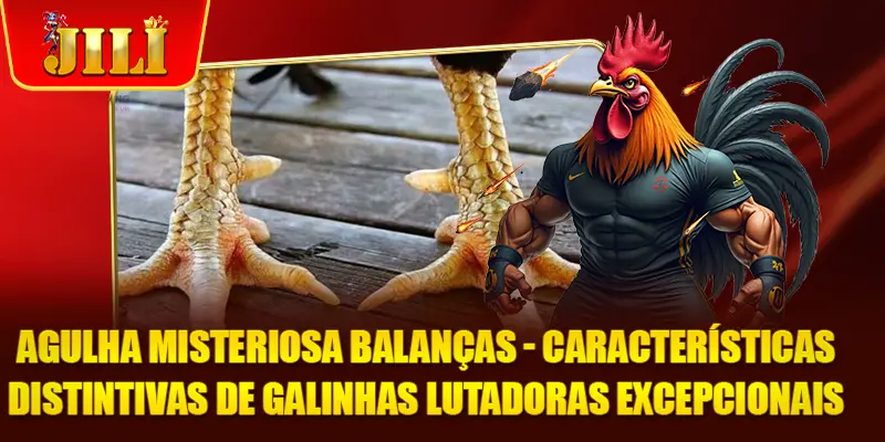 Agulha Misteriosa Balanças - Características distintivas de galinhas lutadoras excepcionais